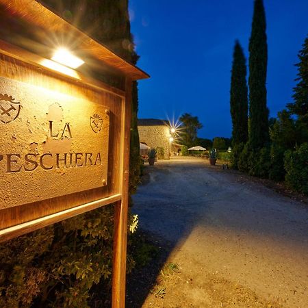 Agriturismo La Peschiera Casole dʼElsa Kültér fotó
